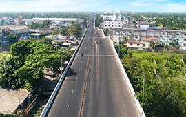 Orchid Casel de Paradise.