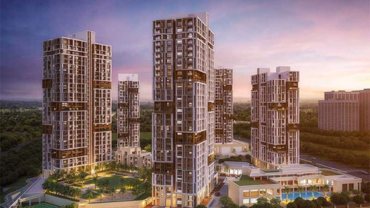 Orchid Casel de Paradise.