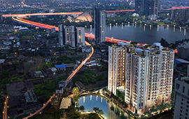 Orchid Casel de Paradise.